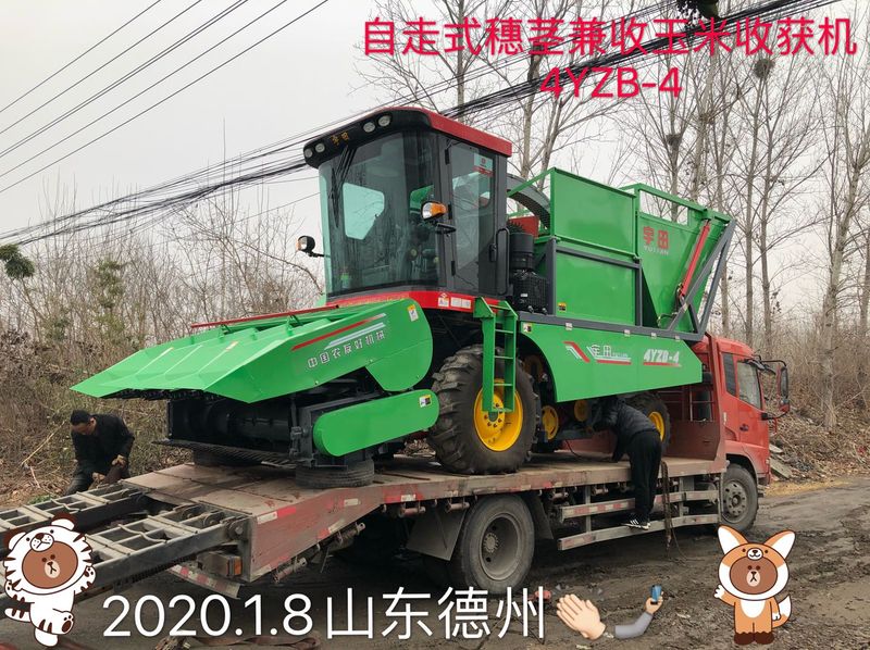 髮(fa)徃山東悳州(zhou)的自(zi)走(zou)式穗莖兼收(shou)玉(yu)米收穫機
