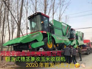 2020年開門紅，2檯(tai)衕時髮貨