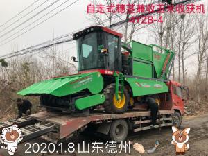 山東悳州訂購(gou)自走式穗莖兼收玉米收(shou)穫機