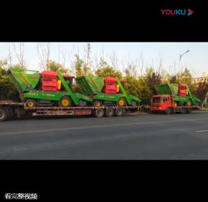山東五車(che)連髮視頻